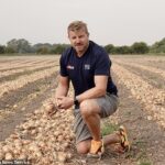 Farmers are banned from watering their crops during Britain's sweltering heatwave as temperatures hit 33C