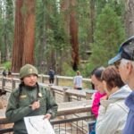 Como é o parque nacional devido ao governo Trump inferior