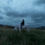 Noé diz que a habilidade da capacidade de reescrever a música é o hábito de seu sangue. Seu álbum mais próximo oferece a chance de mostrar o mundo